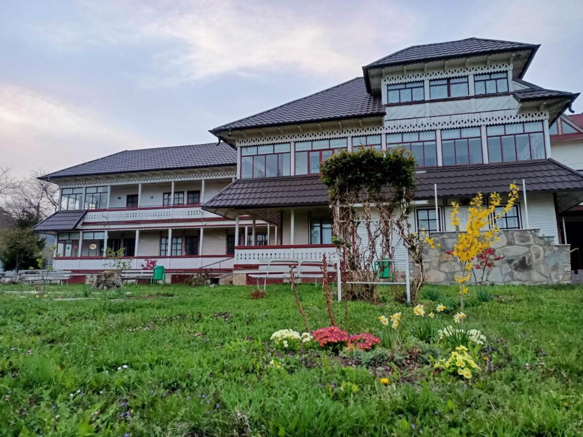 Padurea De Argint Villa Văratec Exterior foto