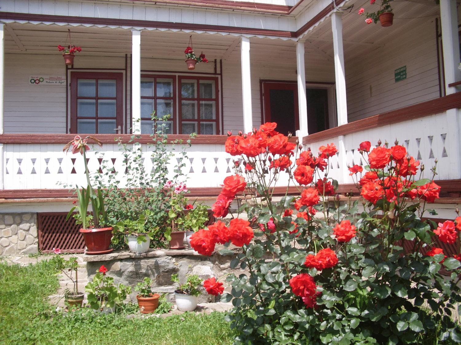 Padurea De Argint Villa Văratec Exterior foto