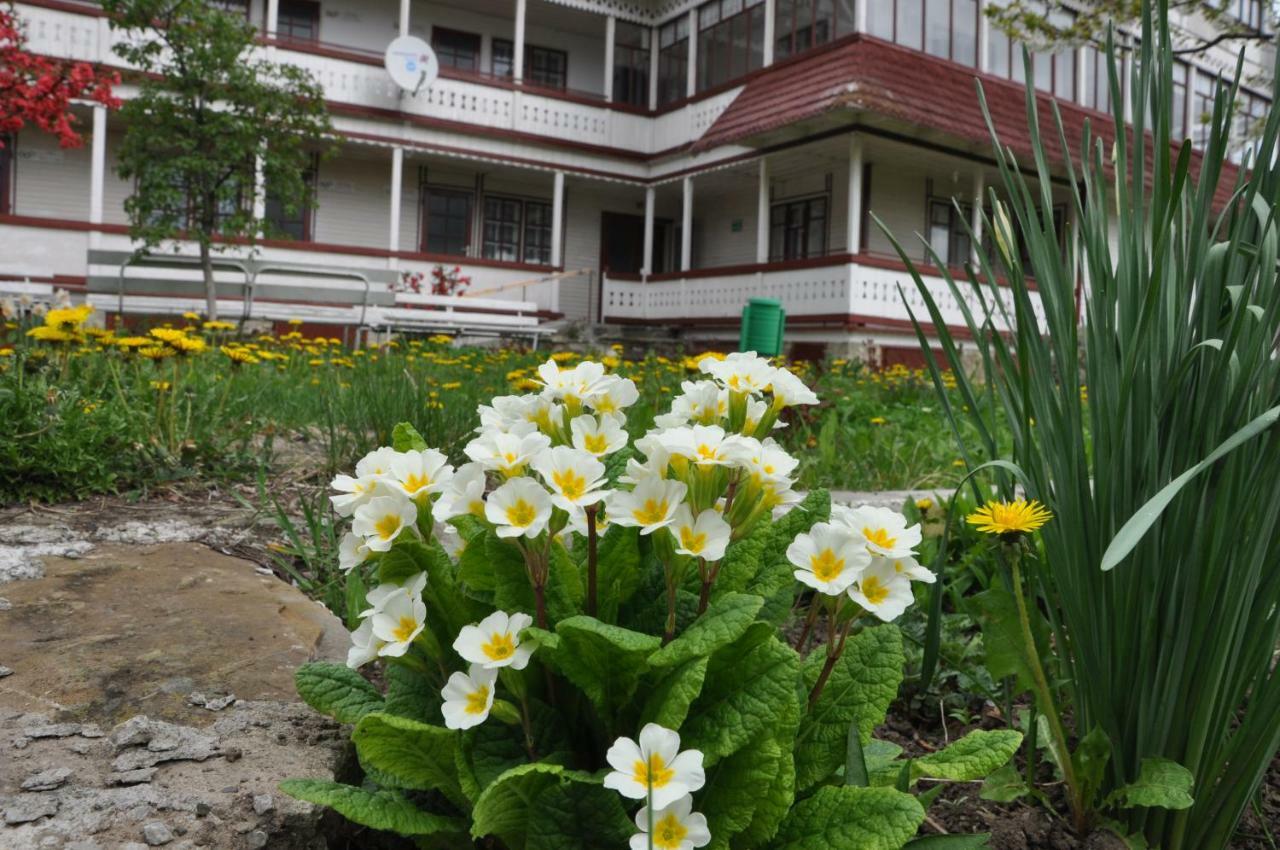 Padurea De Argint Villa Văratec Exterior foto